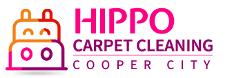 Hippo Carpet Cleaning Cooper City